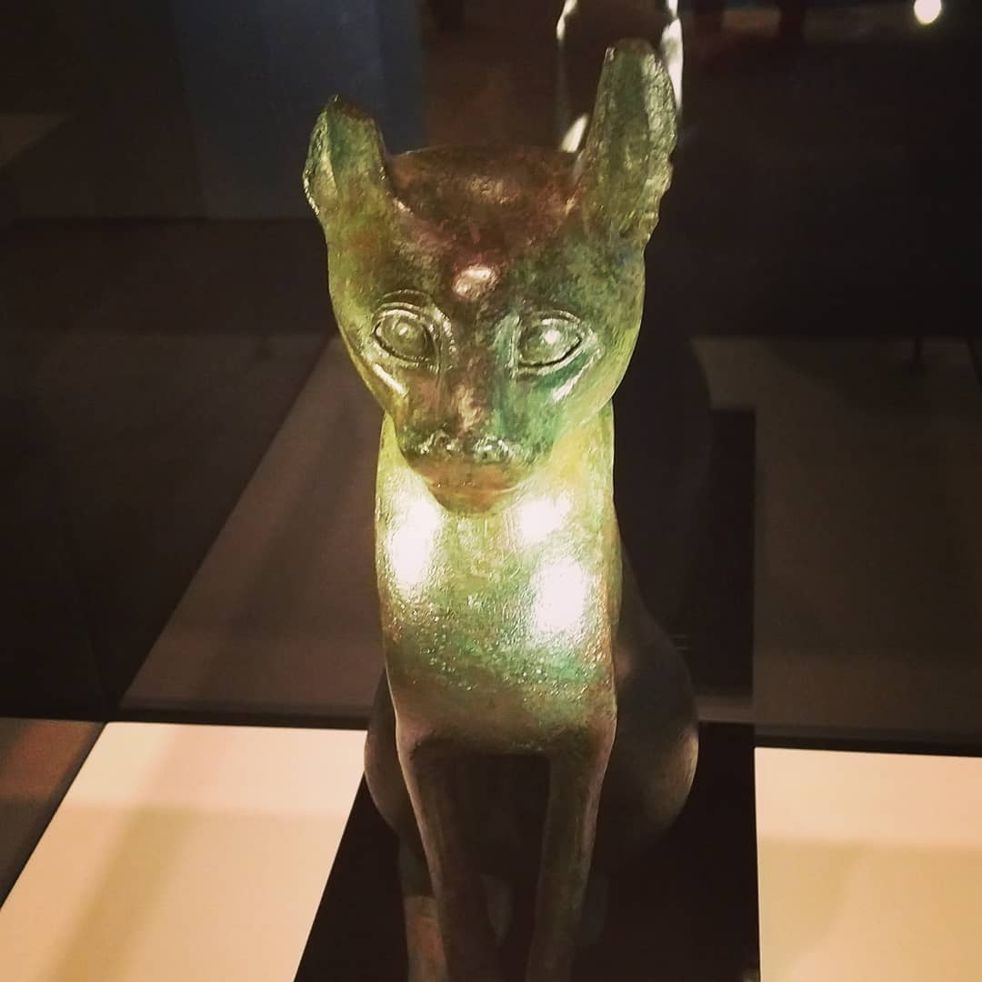 Egyptian cat I'd at Royal BC Museum.